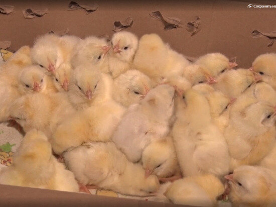 ФОТО: ПРАВИТЕЛЬСТВО ЯНАО