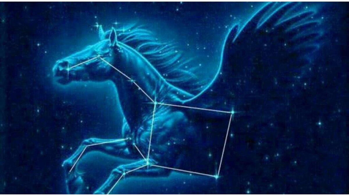 Созвездие "Пегас"