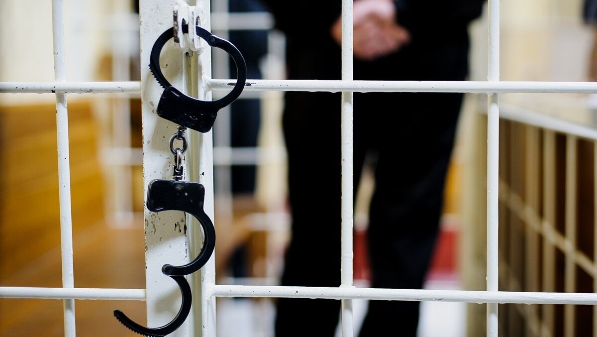 Фото из открытого источника (сервис «Яндекс.Картинки»)