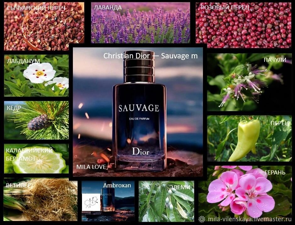 Ингредиенты для изготовления духов. Материал взят из свободного источника.