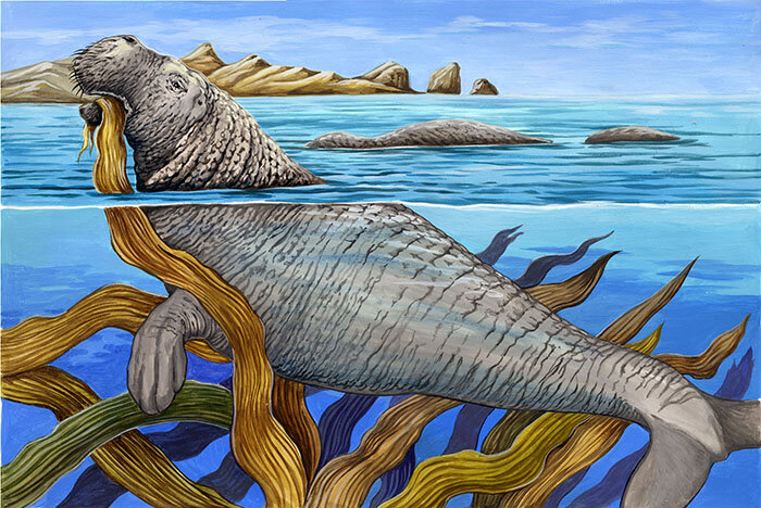 Так в воображении художника животное паслось среди зарослей морских водорослей