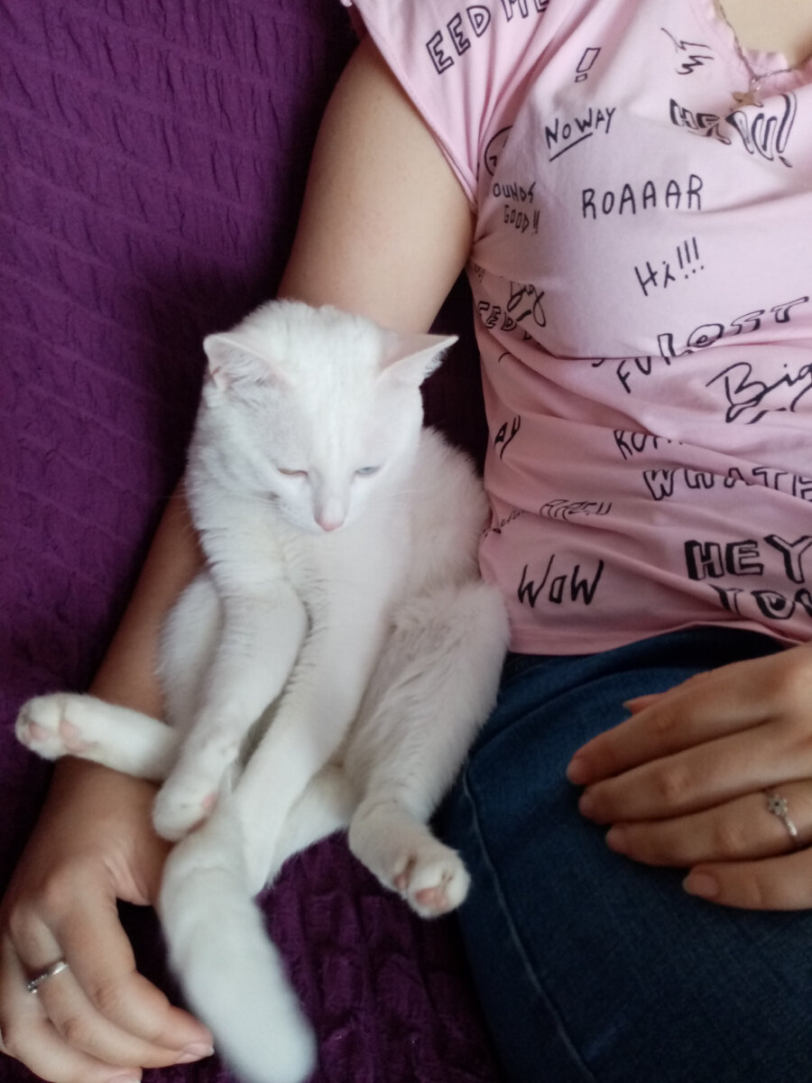 Здесь мы вместе сидим. 