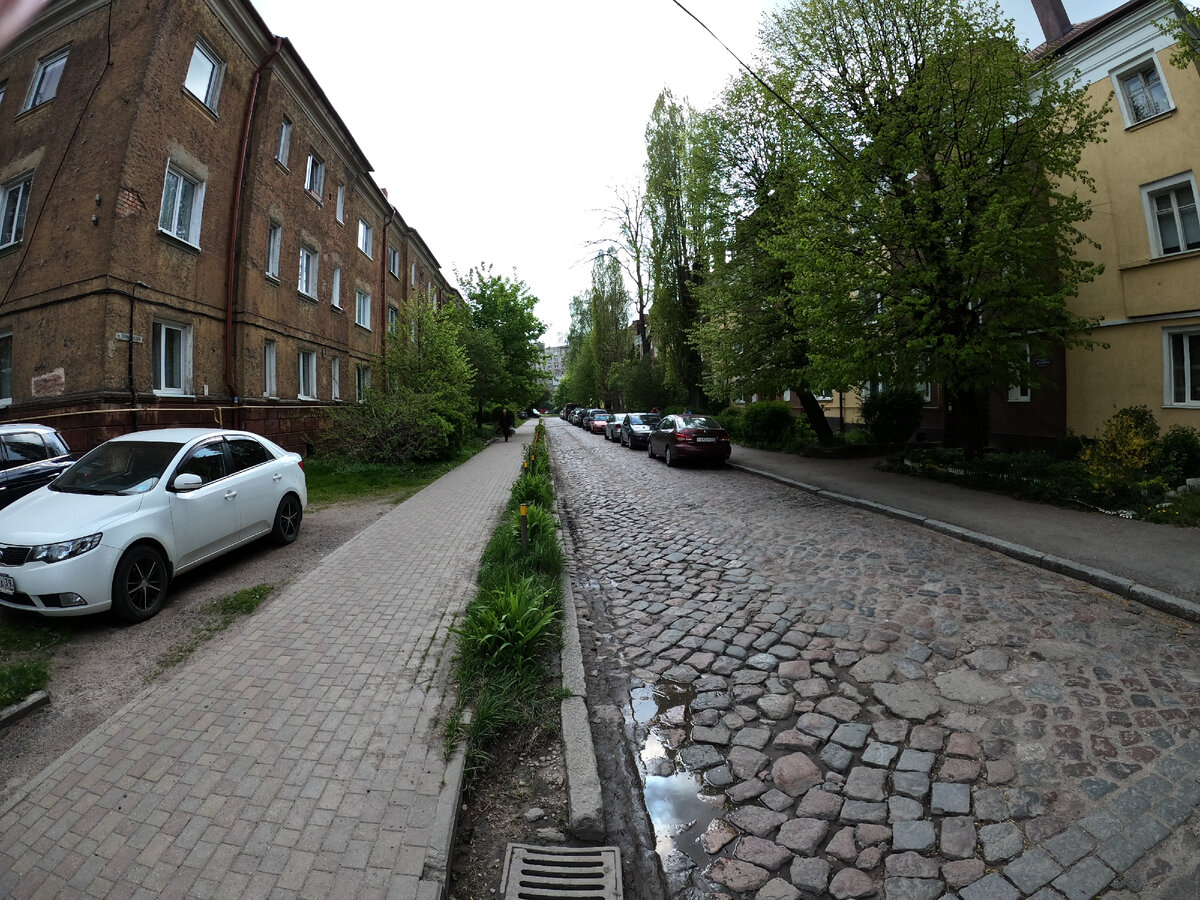 Немецкая брусчатка в Калининграде