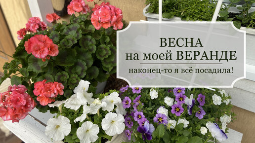 Весна на моей веранде или 