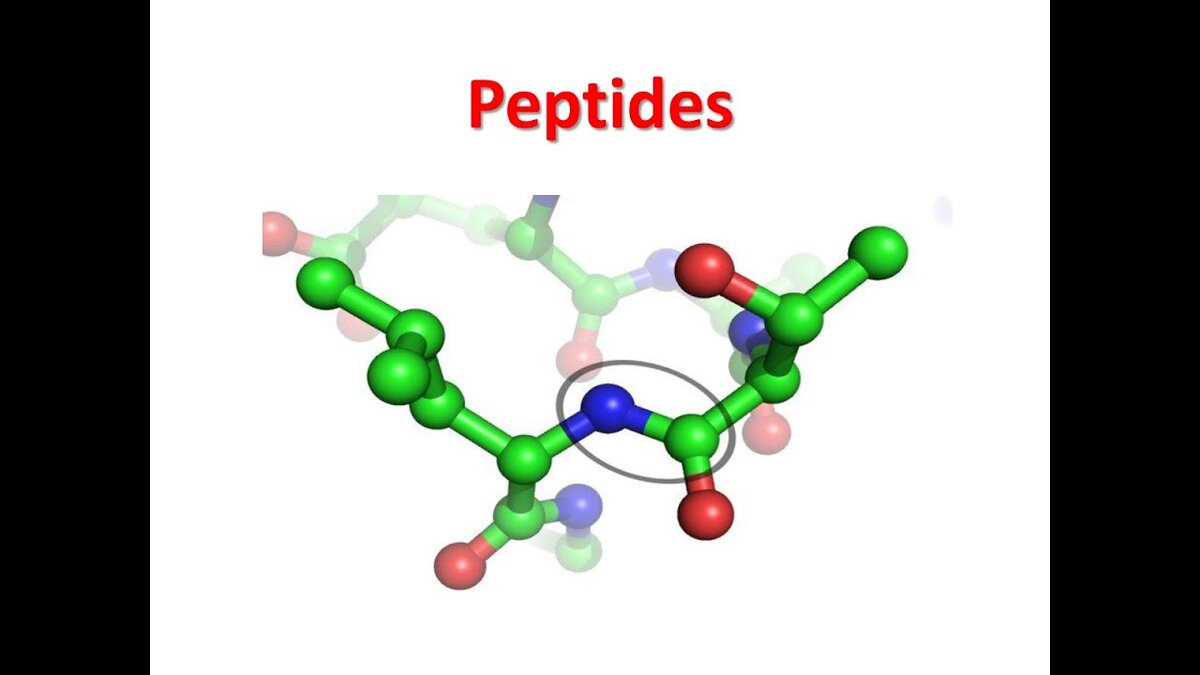 Фото: из интернета