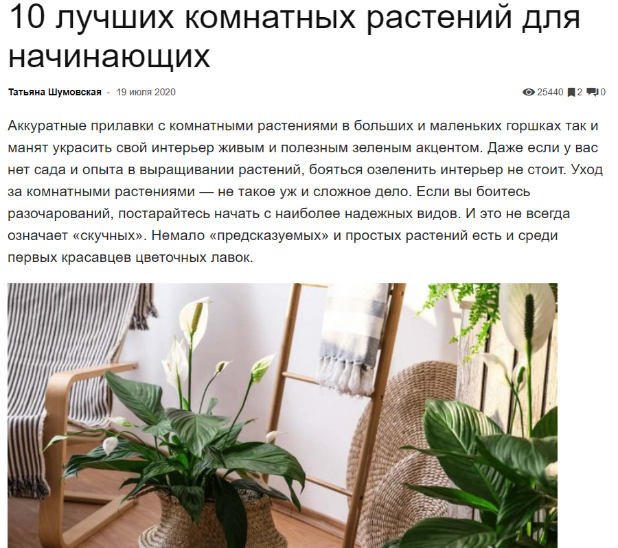 Прежде чем начать ухаживать за капризулькой азалией, 3 года надо учиться водить в душ спатифиллум. Ты же новичок! Фото взято с просторов интернета с целью иллюстрации.