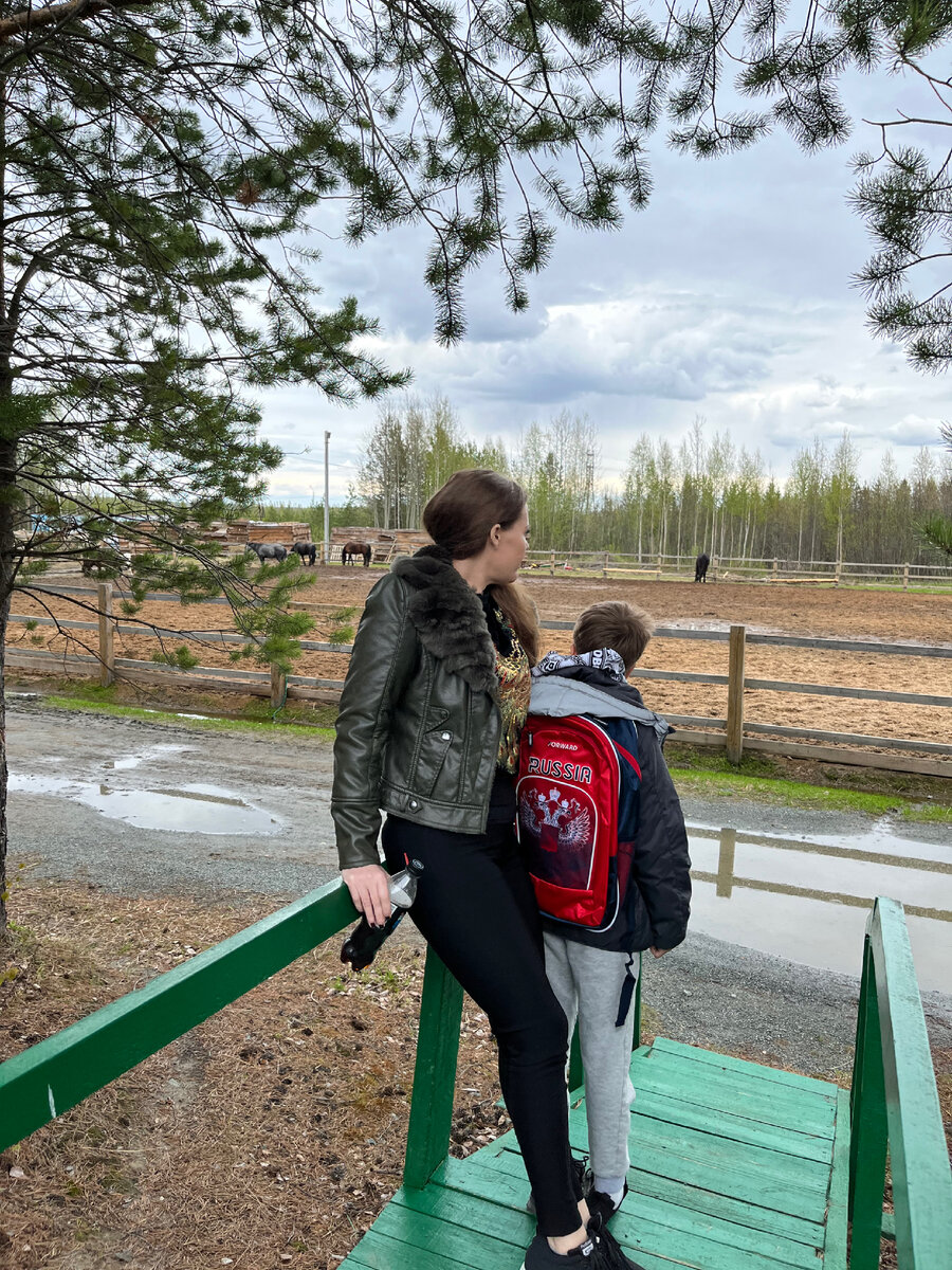 Конюшни, единственные на город 