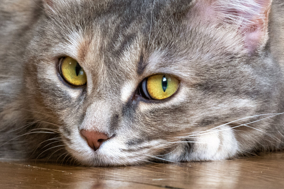 Извини, Василий.