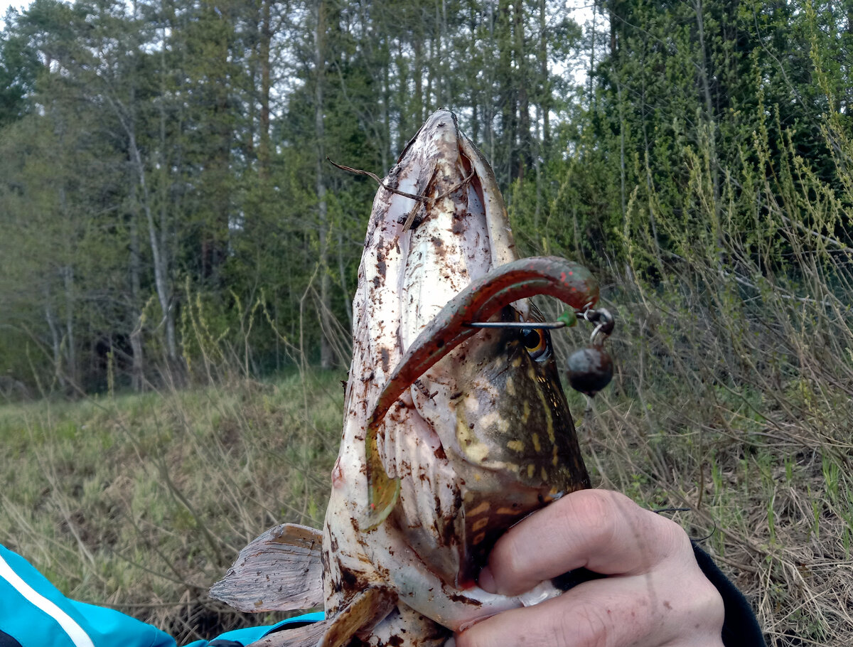 Копия 5 дюймового Easy Shiner...
