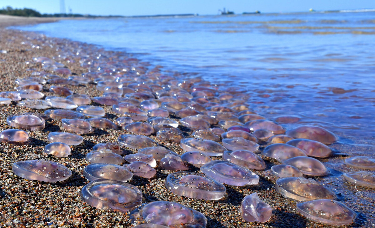 азовское море под водой