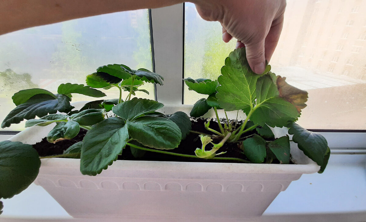 Гордость Урала. июнь 2022 г