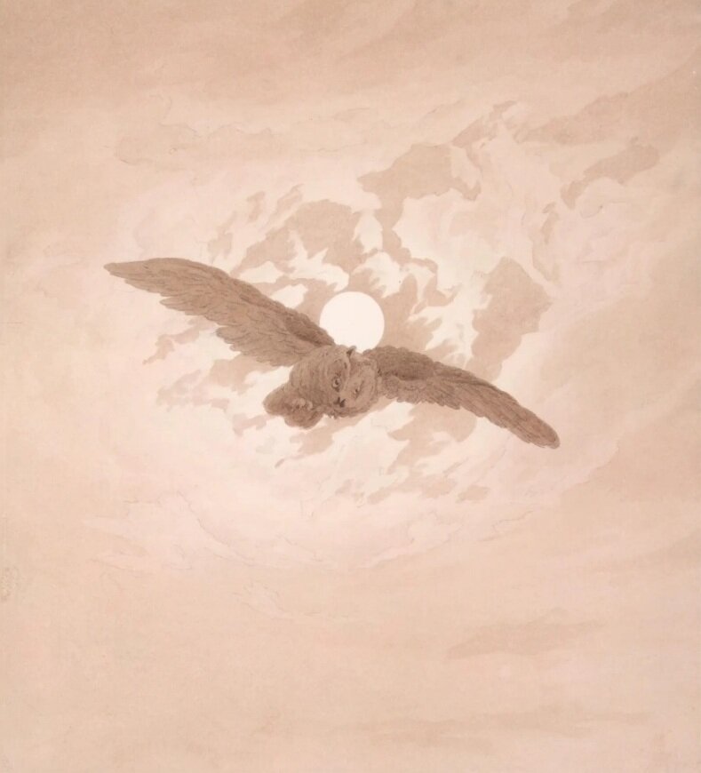 "Летящая сова на фоне лунного неба" 27.9×24.4 см, 1837г