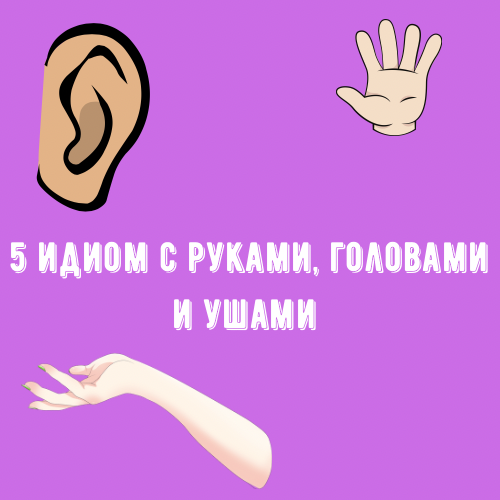С русского на английский уши. Как по английски будет уши.