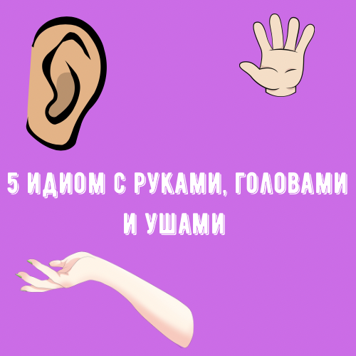 Уши по английски