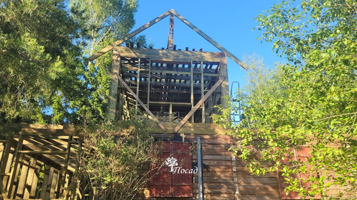 Наша дача потихоньку обретает свои черты.