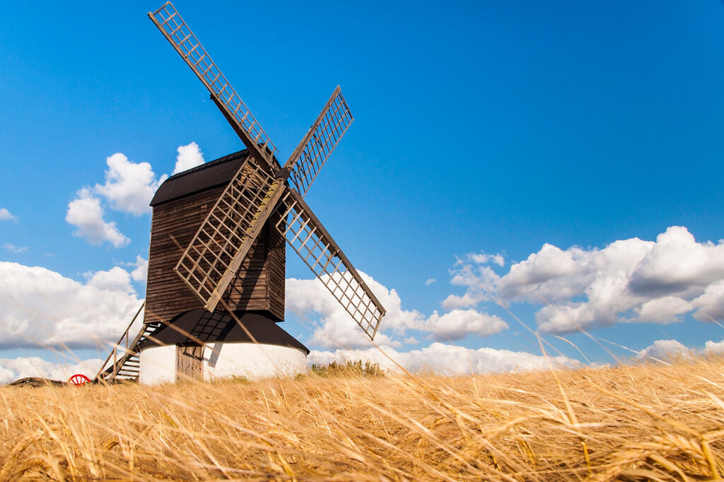 Взято на Яндекс Картинках