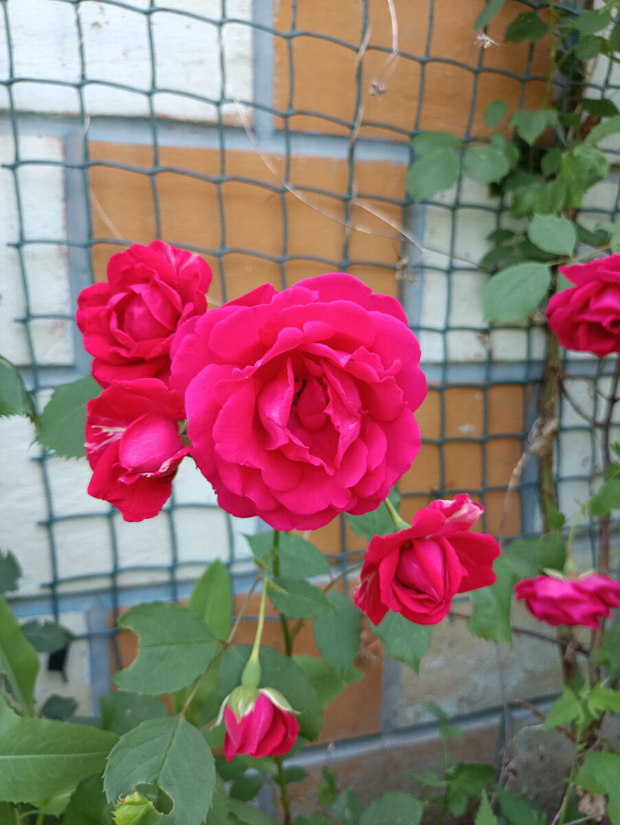 Фото из личного архива автора. 