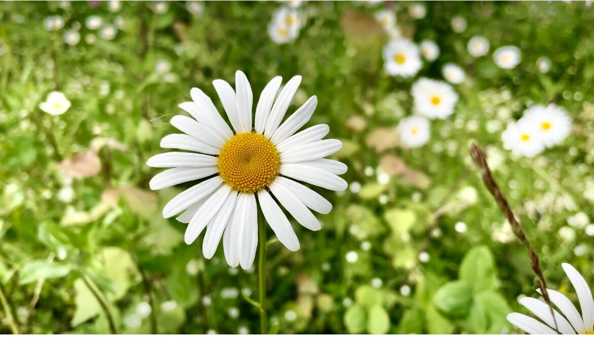 Фото автора Будни Минималиста