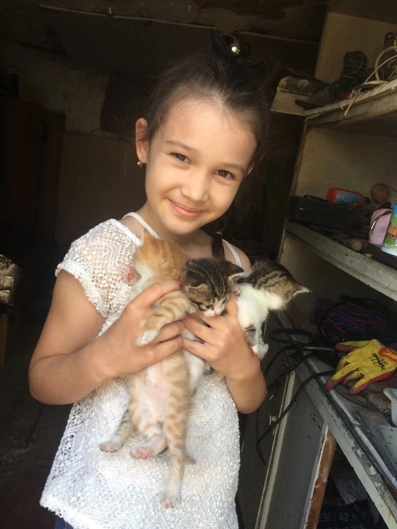 Убийцы ВСУ виновны в гибели 10-летней девочки