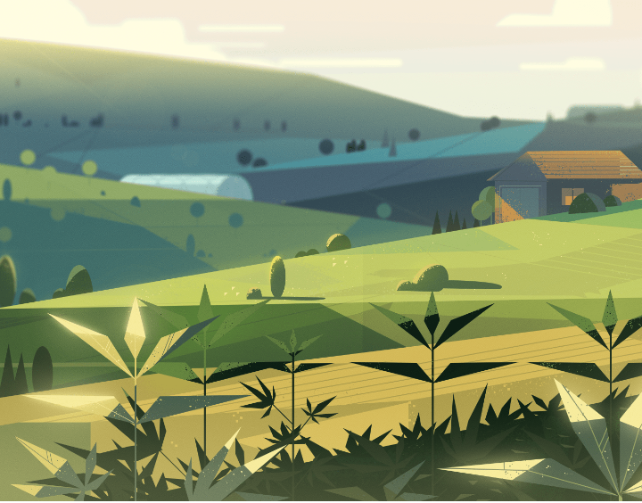 На этом месте могла быть тысячи разных цветов (вставить арт с градиентом, где цветущие луга медленно становятся зеленой пустыней с надпись было и ст ало) 