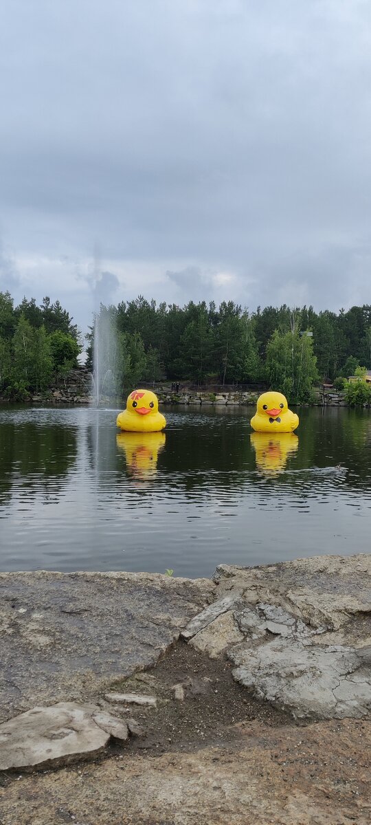 а эти забавны