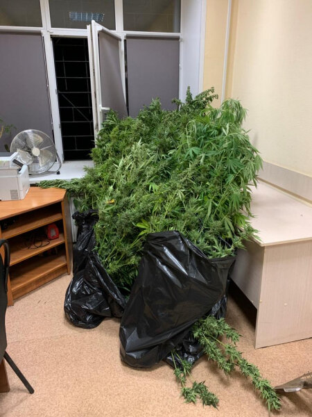    Фото с сайта УМВД по Рязанской области