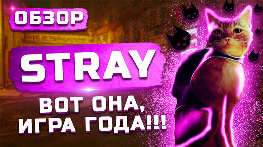 ИГРА ГОДА! | Обзор Stray