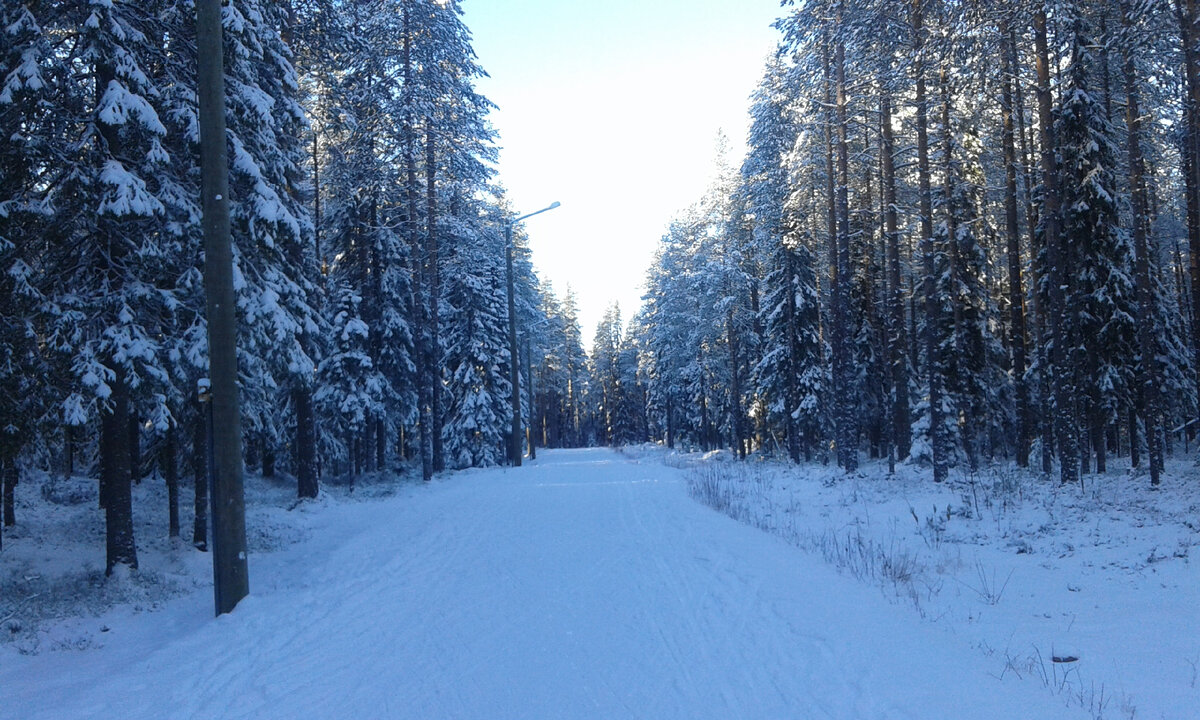 Фото сделано в Костомукше, Республика Карелия в 2017 году.