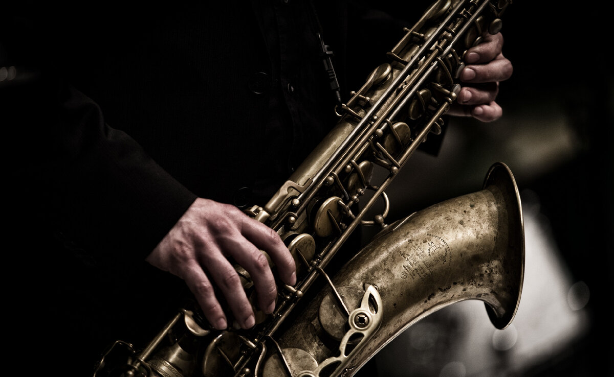 Яндекс Катнки