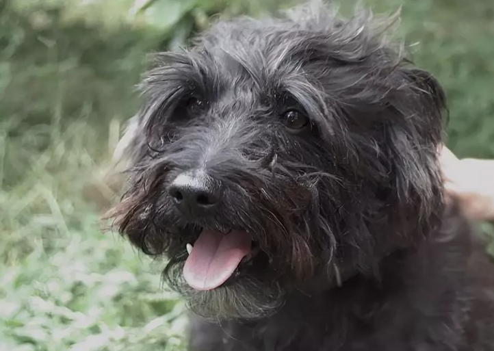 Фото из Яндекс картинки. Свободный доступ