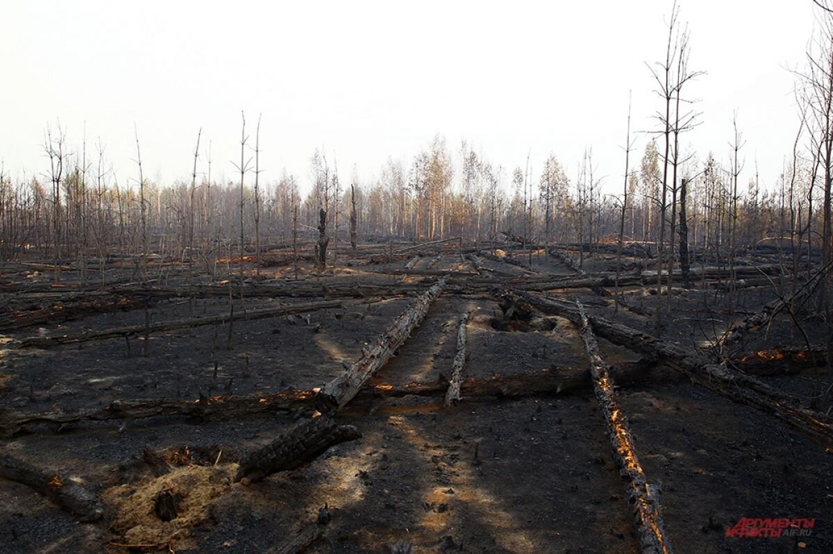    Пожары в Рязанской и Ивановской областях полностью потушены