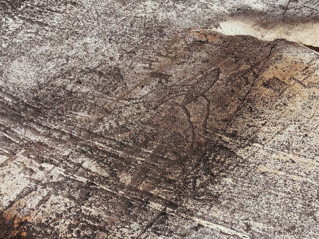 Петроглифы на Белом море музей,Карелия