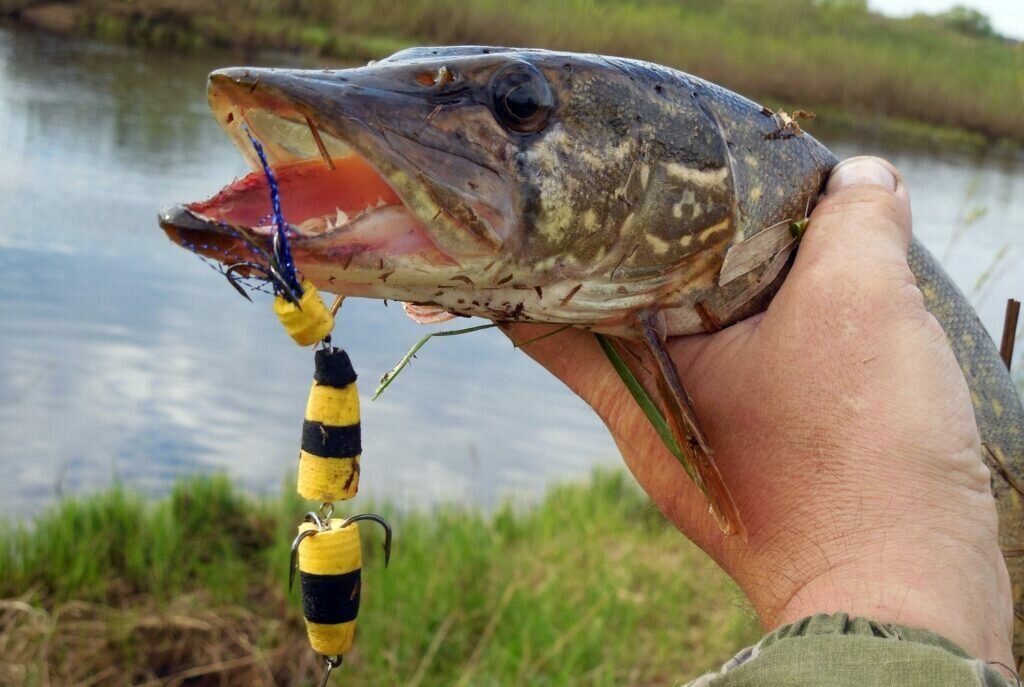 Добавьте описание