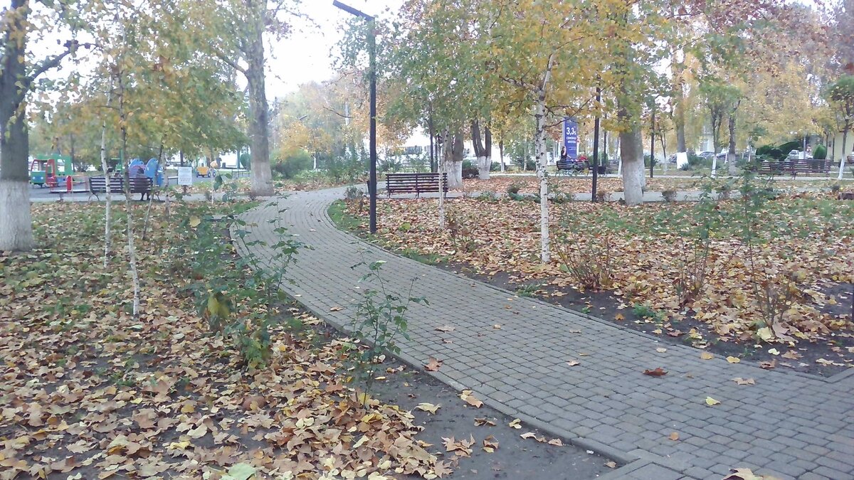 По этим дорожкам я люблю гулять со скандинавскими палками рано утром.