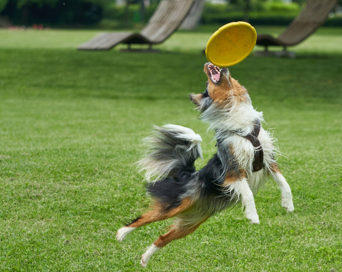 unsplash.com бесплатные картинки