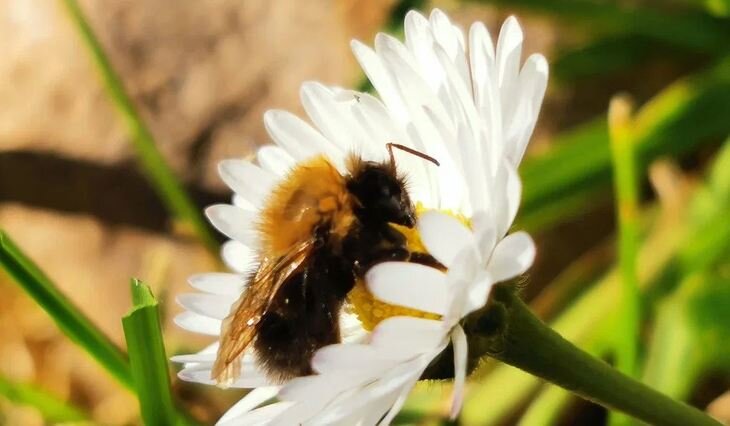    Закон о химической безопасности РФ вынесен на обсуждение экспертов