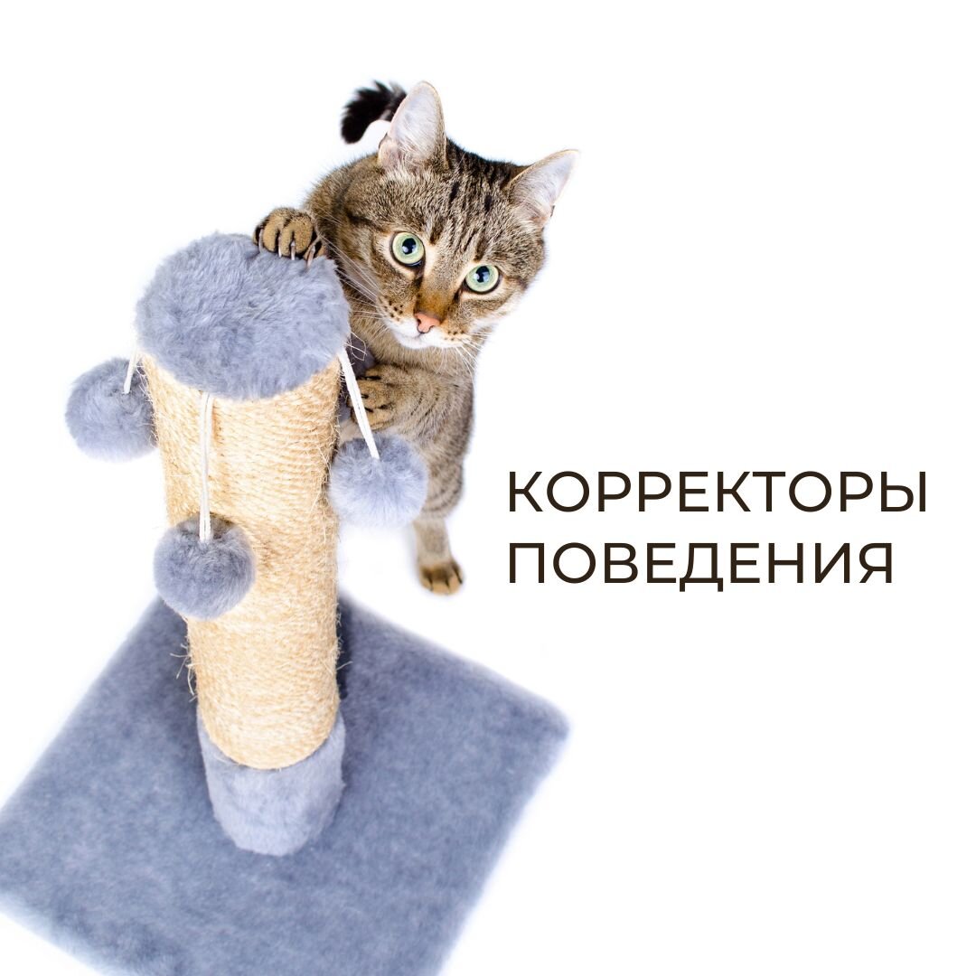 Когтеточки бывают вертикальные (столбик) и горизонтальные (коврики из джута или плоские из картона). 