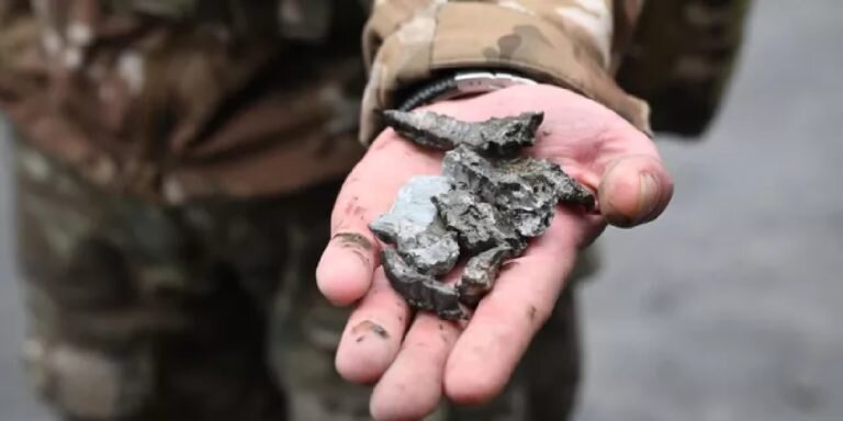 Фото: РИА «Новости» / Илья Питалев