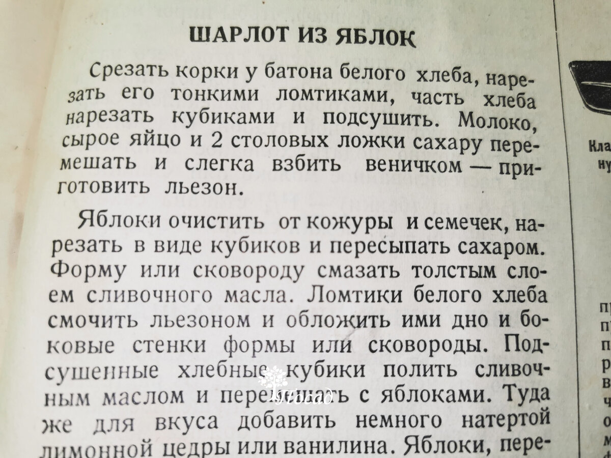 Самый народный и самый непризнанный из всех пирогов – шарлотка с яблоками.  Рецепт простой, «как 3 копейки» | Посад | Дзен