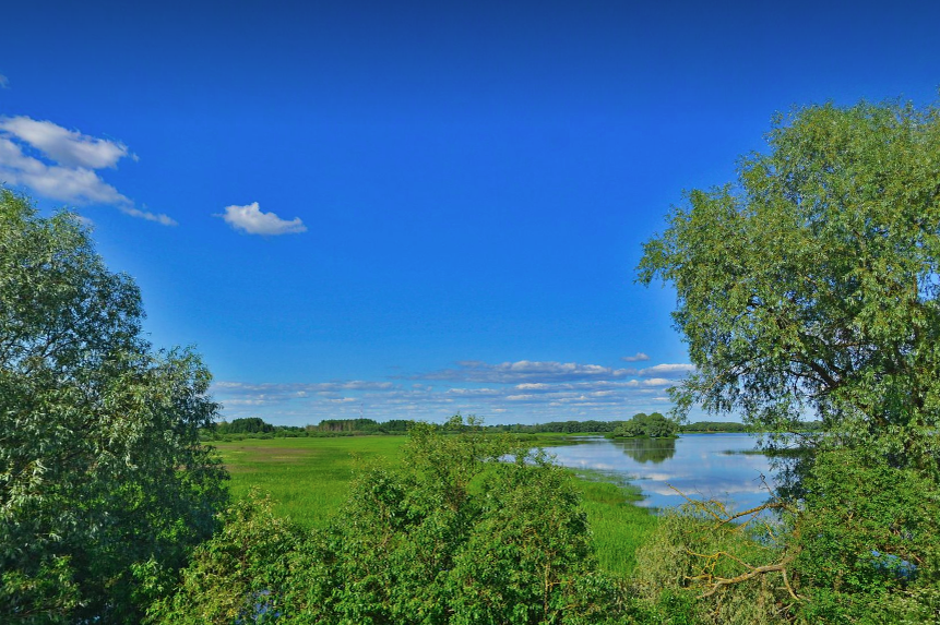 10 минут ходьбы – и вам откроются пейзажи Юрьевского пруда и озера Мячино
