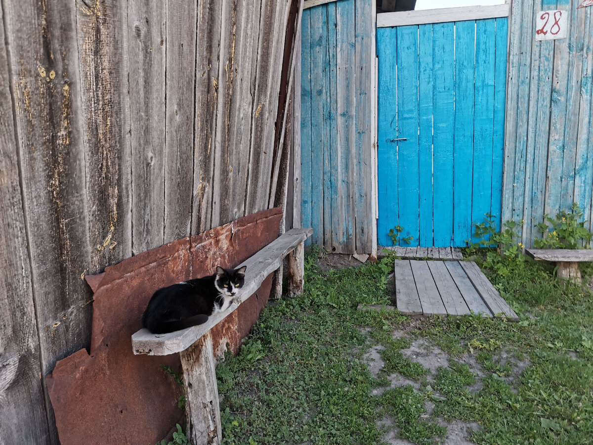 Фото автора 