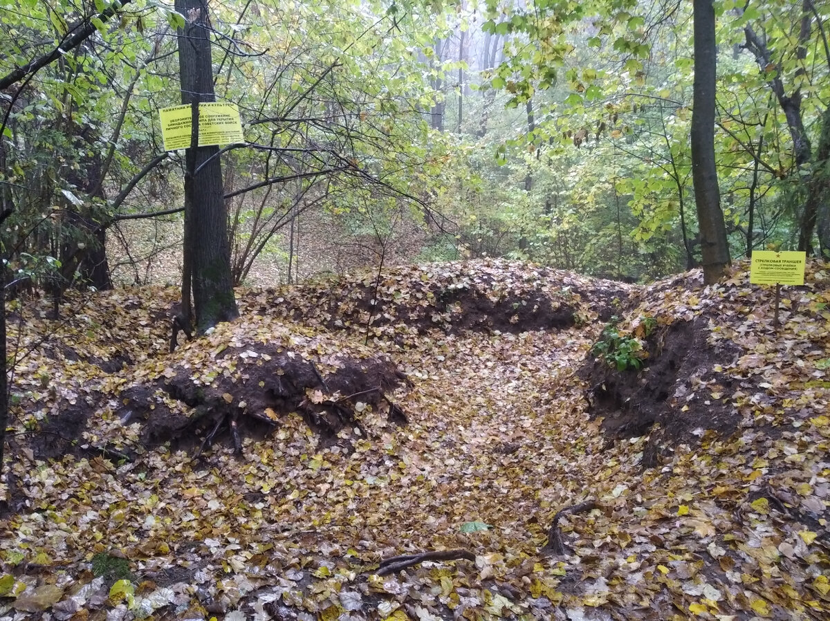 Там, где кончается Рублевка, или Осенние краски ближнего Подмосковья |  Записки путешественника | Дзен