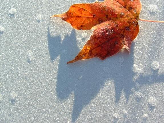    Фото: www.stockvault.net