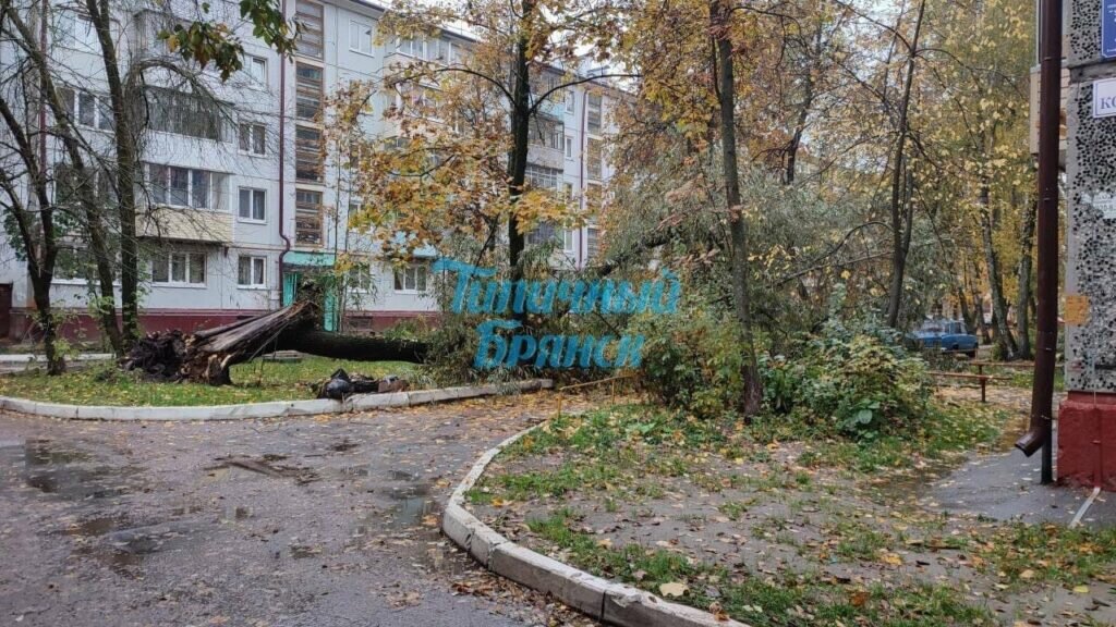 ФОТО: соцсети