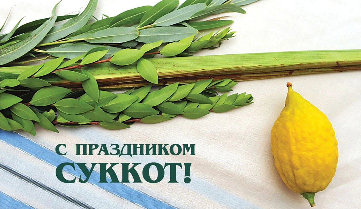 Суккот. Иллюстрация: «Курьер.Среда»
