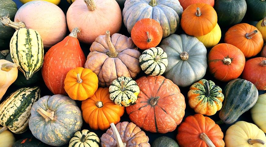  Это фото я нашла на просторах Интернета и использовала как ориентир для подбора пряжи по цвету