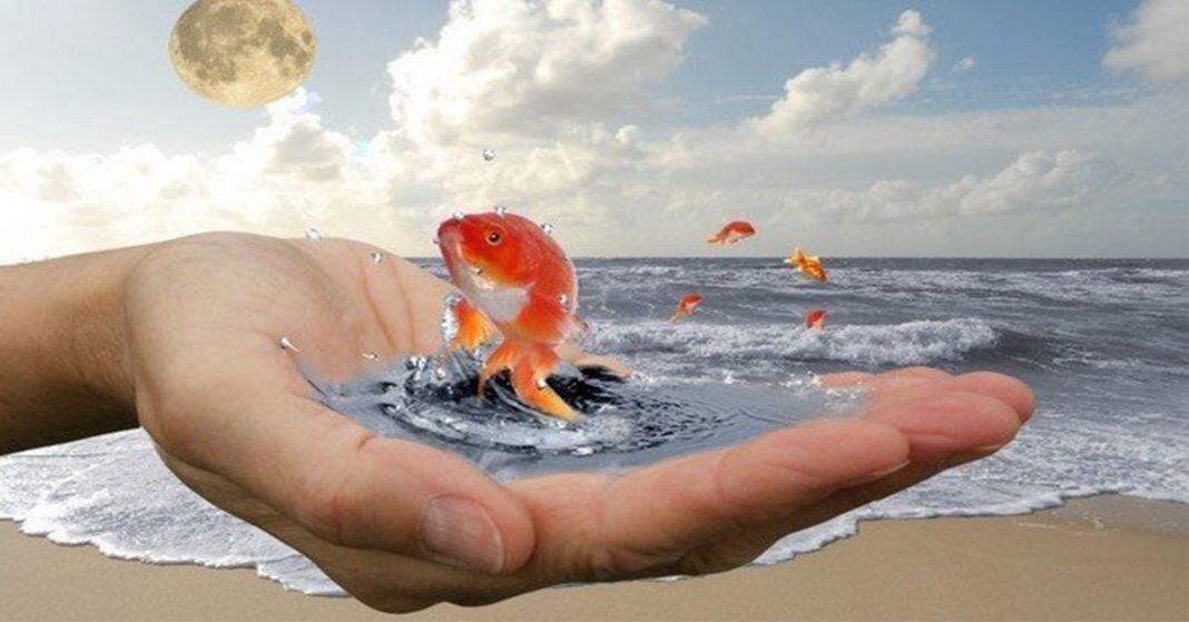 Рисунок из открытого доступа