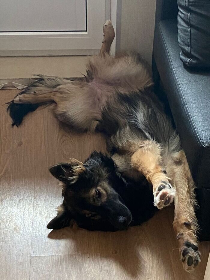 Листайте вправо, чтобы увидеть больше изображений