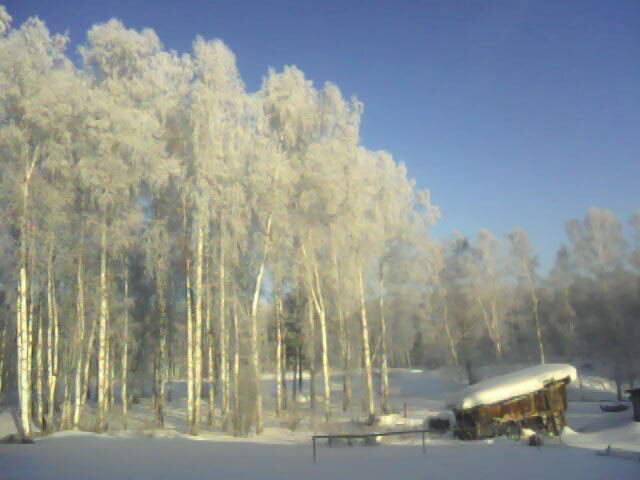 Глядя на фото можно вспомнить свежий аромат морозного денька