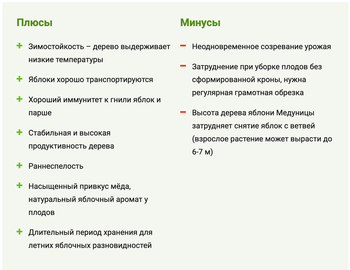 Яблоня медуница описание фото отзывы морозостойкость опылители. Плотность яблони.